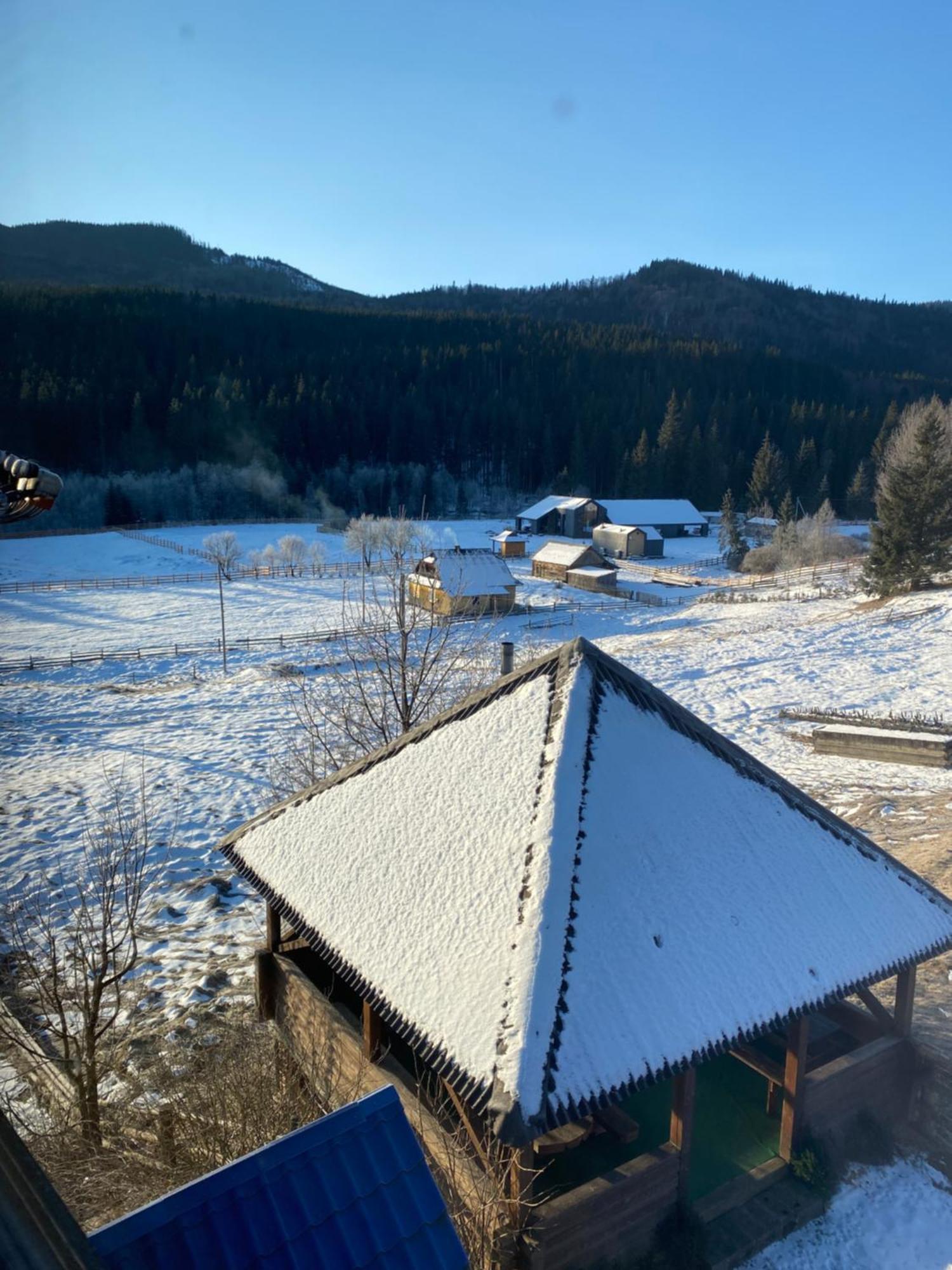 Ferienwohnung Під Явором Worochta Exterior foto